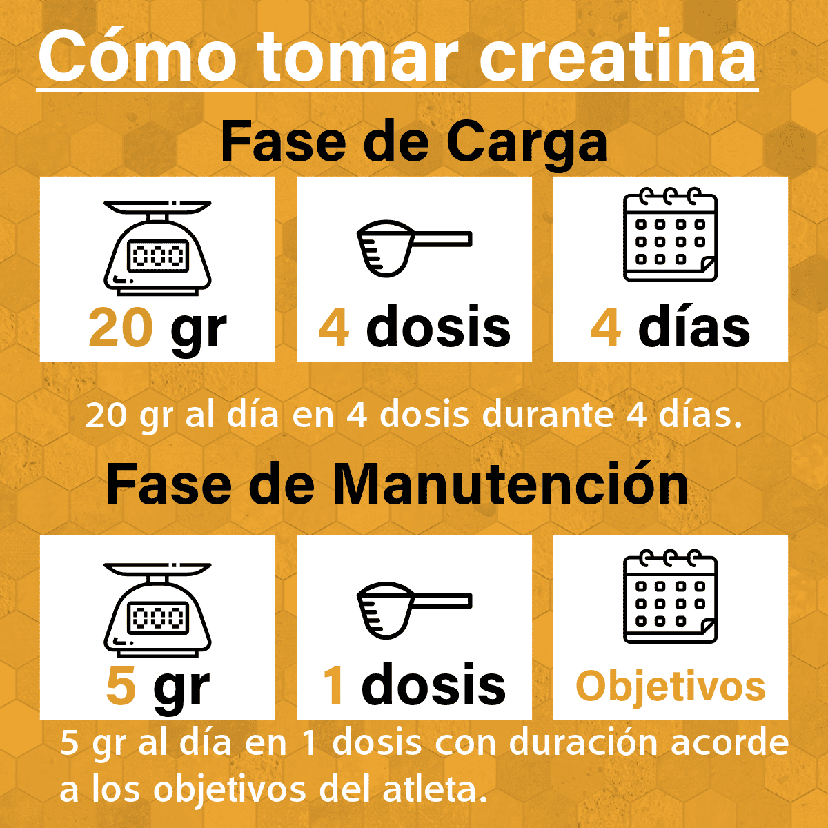 Creatina Monohidratada - Guía de Uso 2024